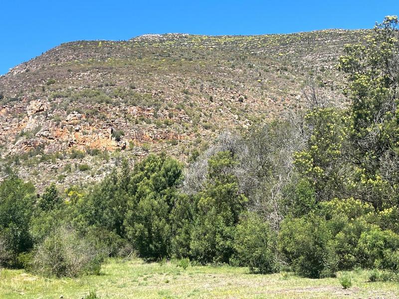 0 Bedroom Property for Sale in George Rural Western Cape